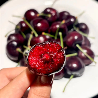 Rainier Cherry Fruit Seeds