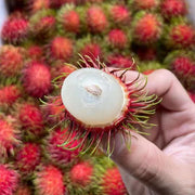 Rambutan Seeds