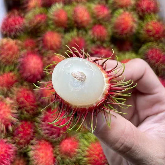 Rambutan Seeds