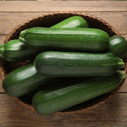 Spineless Perfection Zucchini Seeds