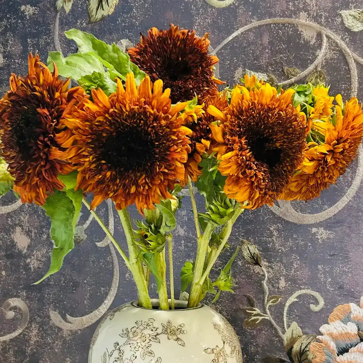 Sunflower 'Caramel Painted Teddy' Seeds