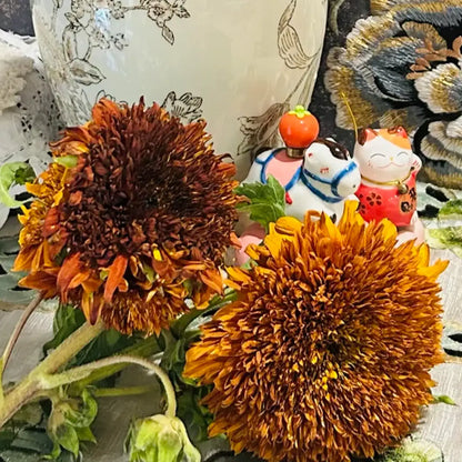 Sunflower 'Caramel Painted Teddy' Seeds