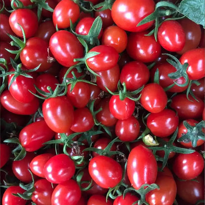 Supersweet 100 Hybrid Cherry Tomato Seeds