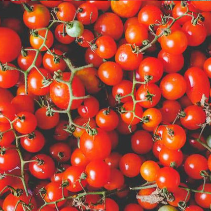 Supersweet 100 Hybrid Cherry Tomato Seeds