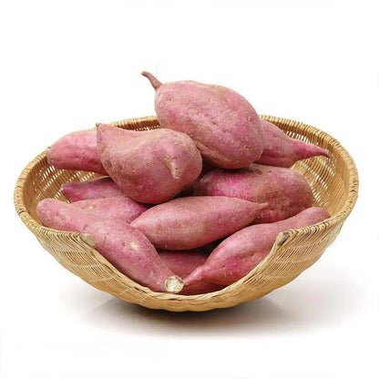 Sweet Potato Seeds