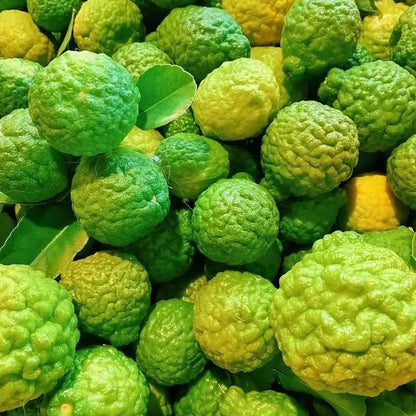 Thai Kaffir Lime Fruit Seeds