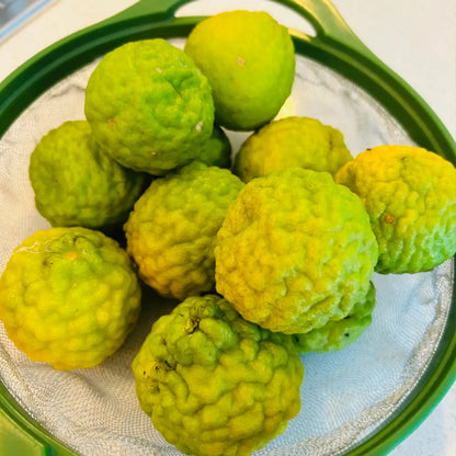 Thai Kaffir Lime Fruit Seeds
