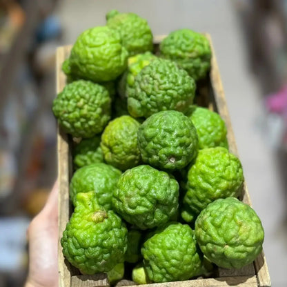 Thai Kaffir Lime Fruit Seeds