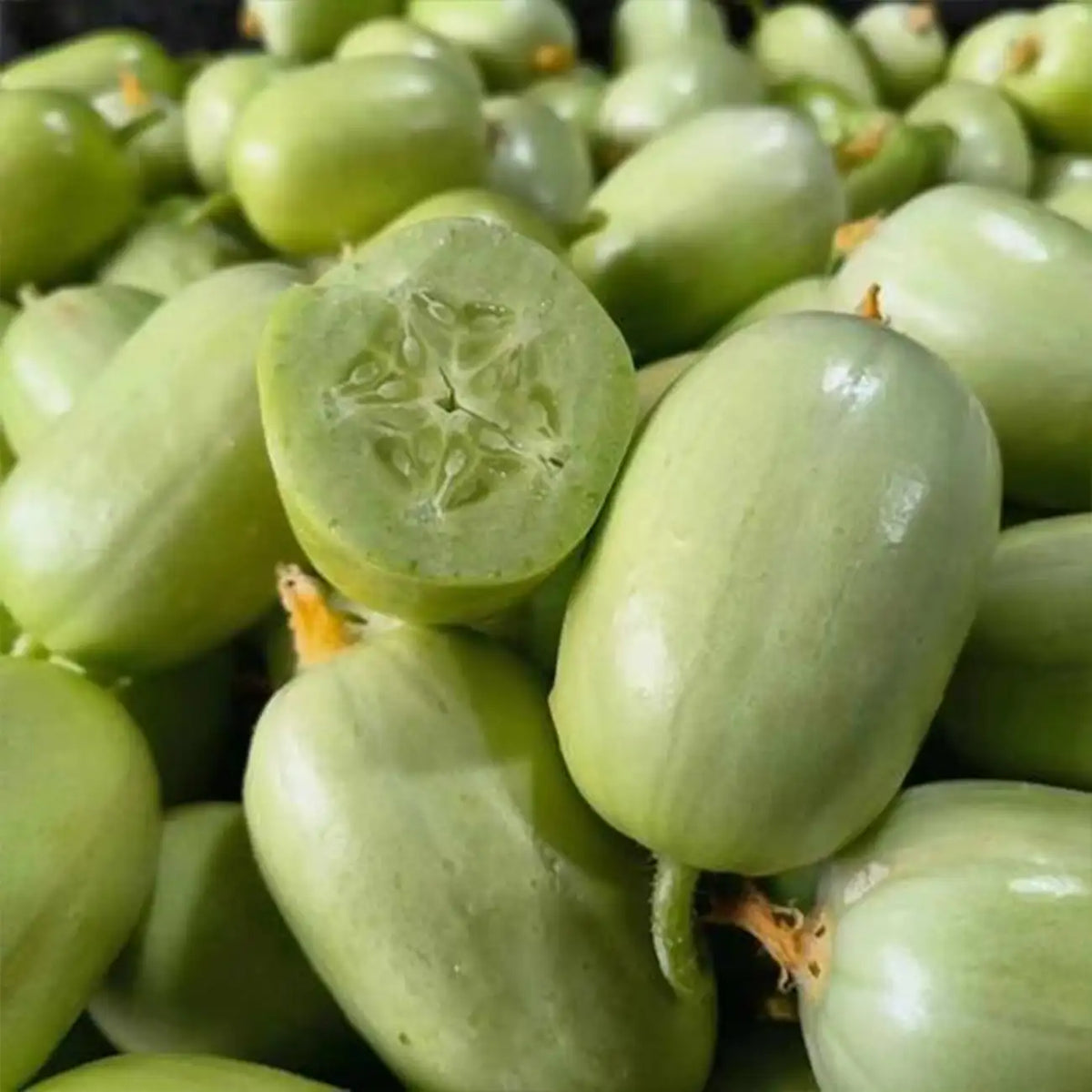 Thumb Cucumber Seeds - Golden Boy Lady Cucumber
