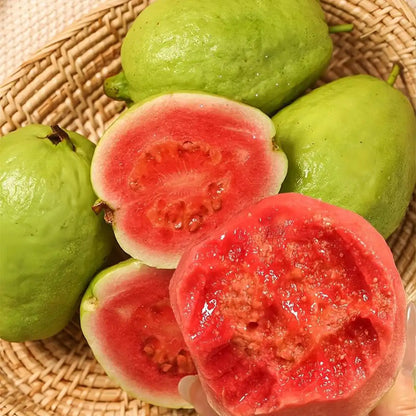 Tropical Strawberry Guava Organic Pink Guava Seeds