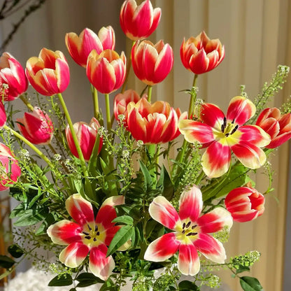 Tulip 'Alice' Seeds