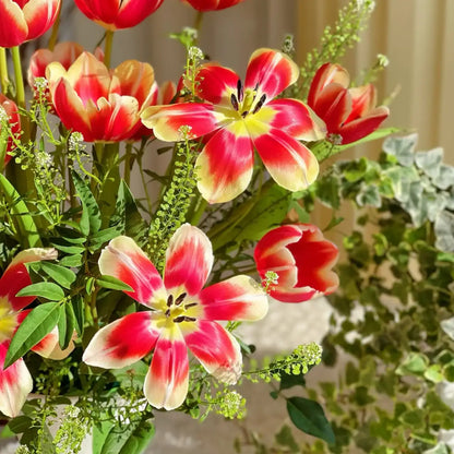 Tulip 'Alice' Seeds