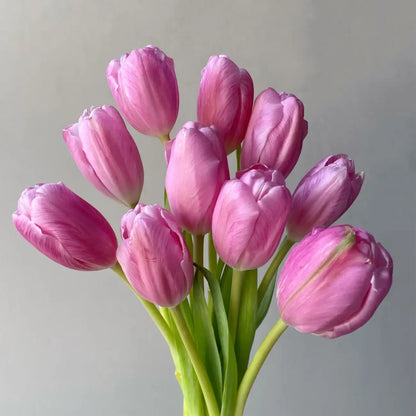 Tulip 'Autumn Cherry' Seeds