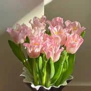 Tulip 'Belle' Seeds