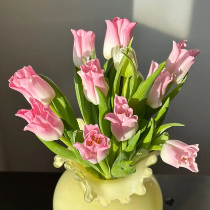 Tulip 'Belle' Seeds