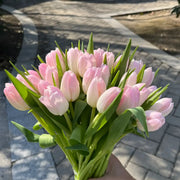 Tulip 'Budding' Seeds