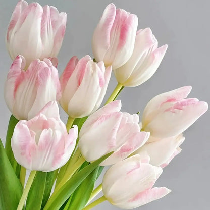 Tulip 'Budding' Seeds
