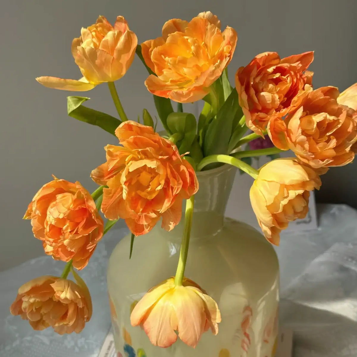 Tulip 'Citrus Cheese' Seeds