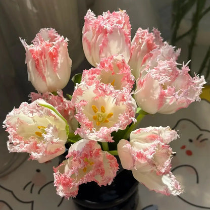 Tulip 'Cundy' Seeds