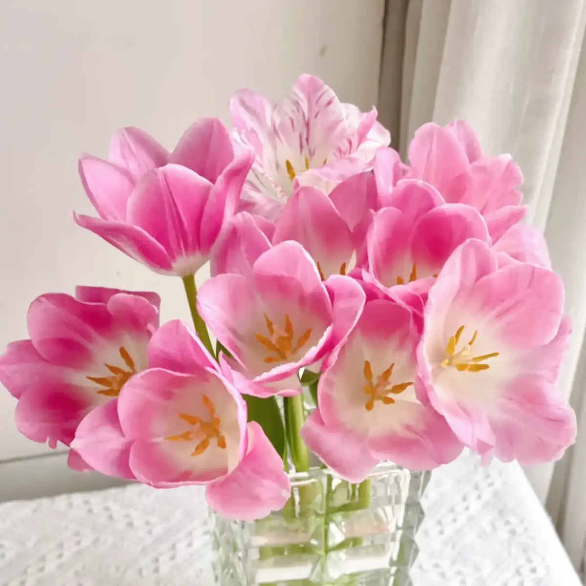 Tulip 'Eto' Seeds