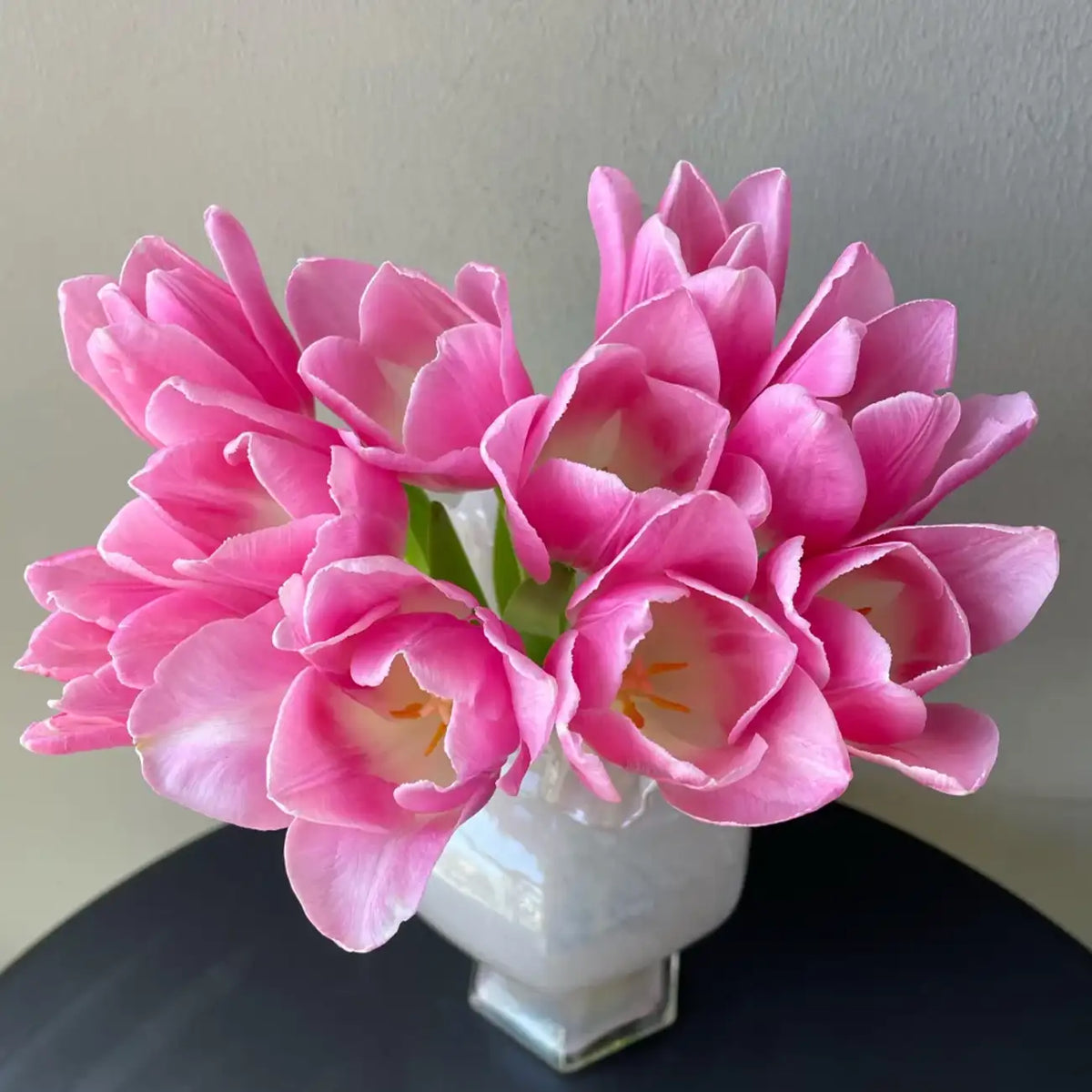 Tulip 'Eto' Seeds