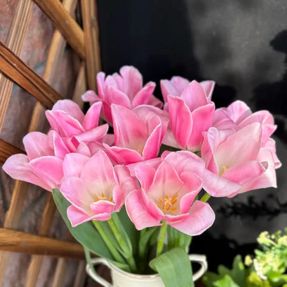 Tulip 'Fairy Maid' Seeds