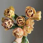 Tulip 'Golden Age' Seeds