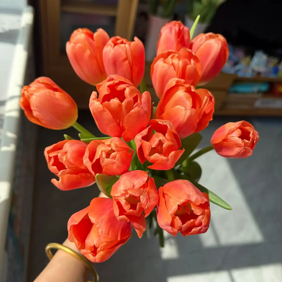 Tulip 'Honey Orange' Seeds