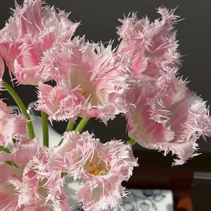 Tulip 'Jade Rabbit' Seeds