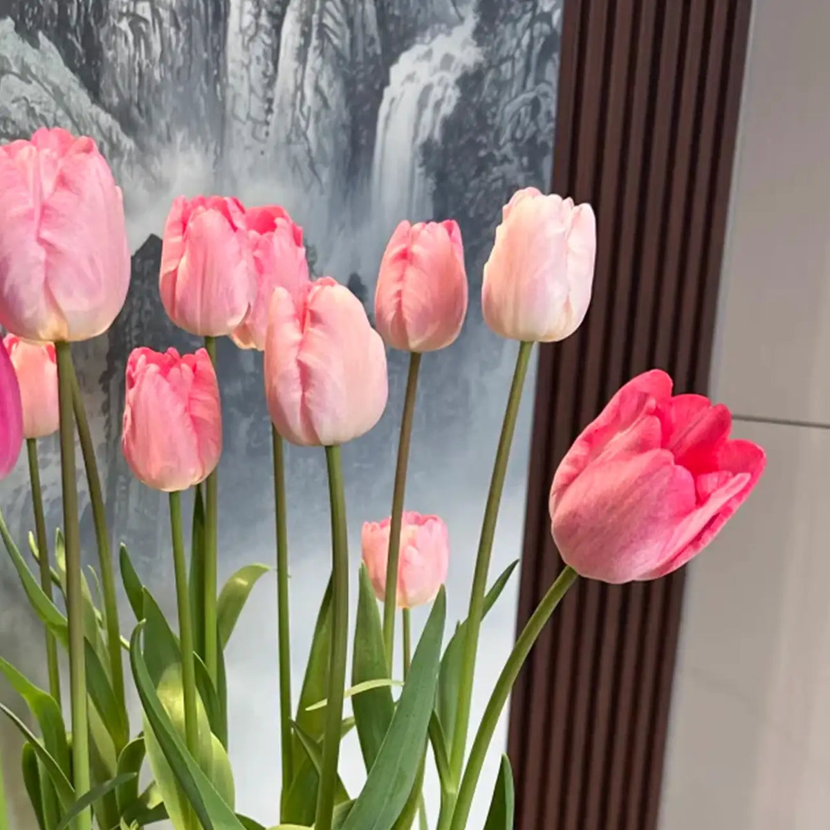 Tulip 'Mad Poem' Seeds