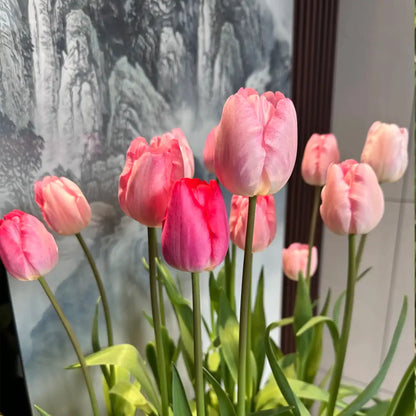 Tulip 'Mad Poem' Seeds