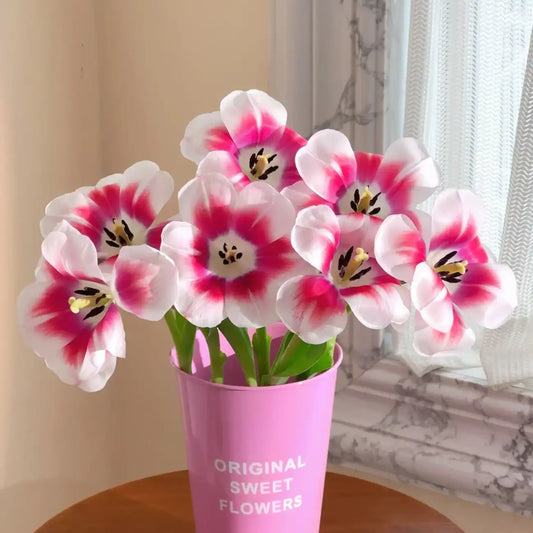 Tulip 'Moulin Rouge' Seeds
