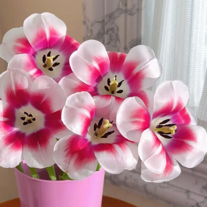 Tulip 'Moulin Rouge' Seeds