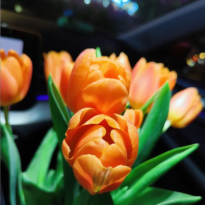 Tulip 'Orange Juice' Seeds