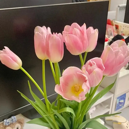 Tulip 'Pink Dynasty' Seeds