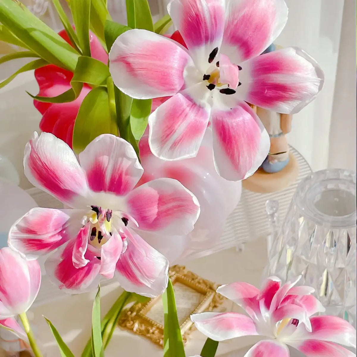 Tulip 'Raspberry Mousse' Seeds