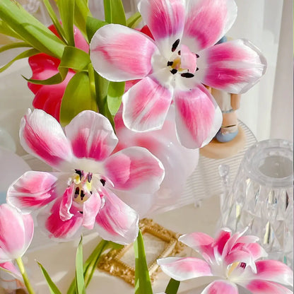 Tulip 'Raspberry Mousse' Seeds