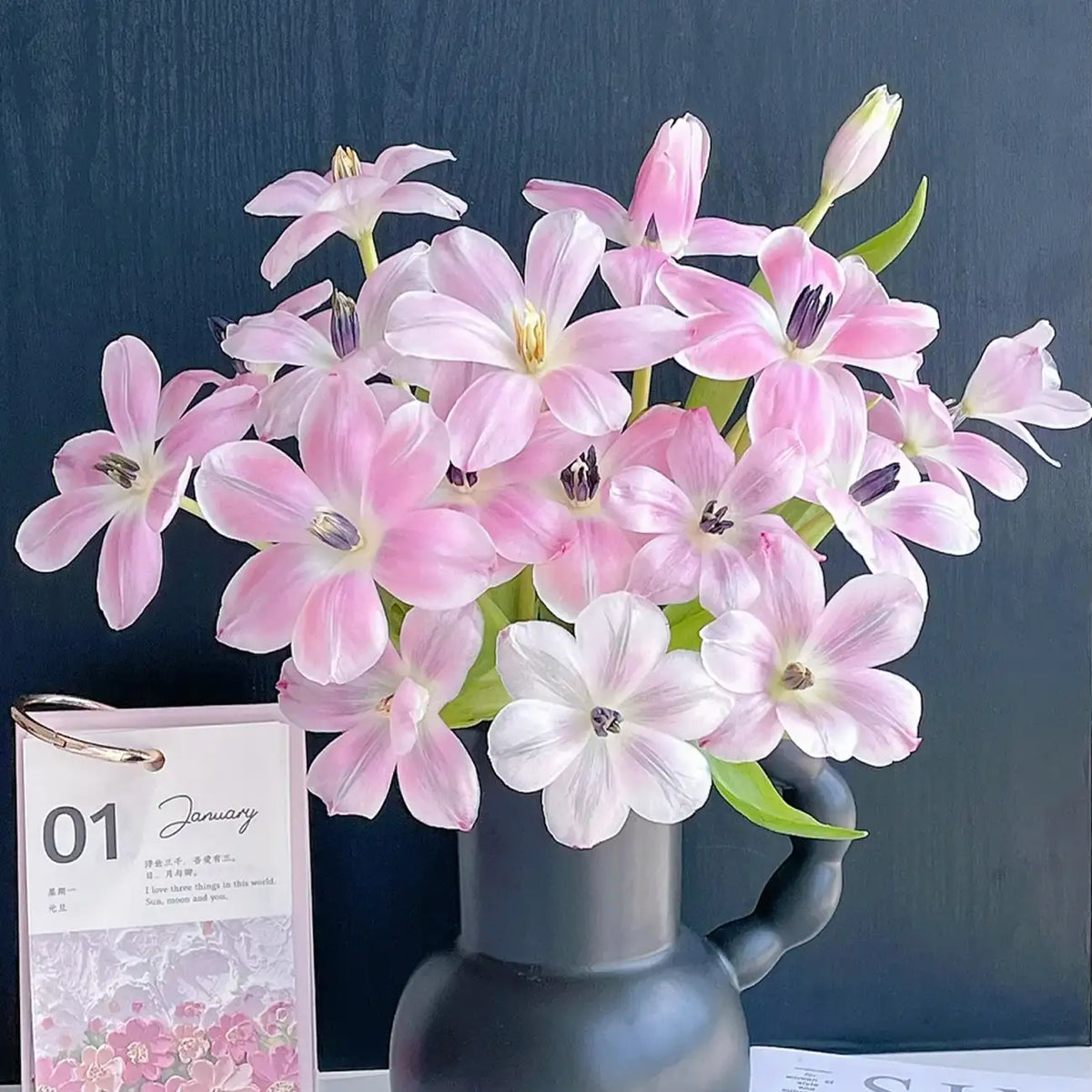 Tulip 'Shade Silhouette' Seeds