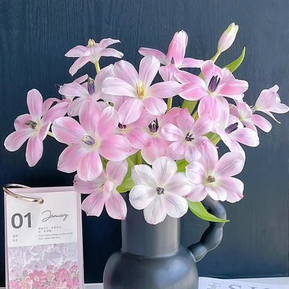 Tulip 'Shade Silhouette' Seeds