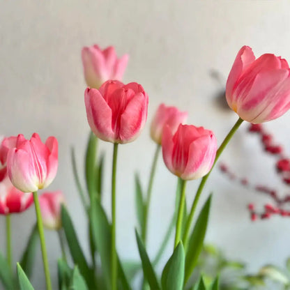 Tulip 'Super Model' Seeds