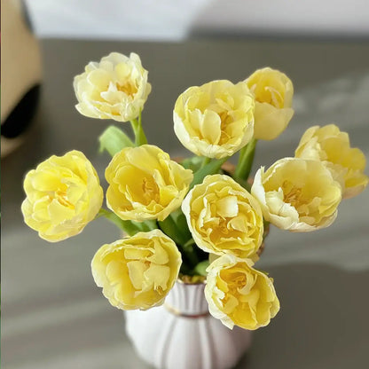 Tulipa 'Vanilla Parfait' Seeds