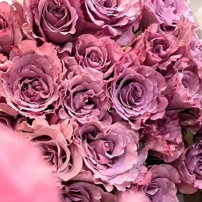 Twilight Rose Seeds