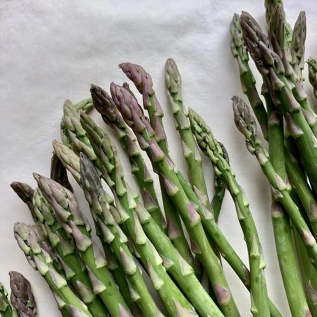 UC-157 Asparagus Seeds