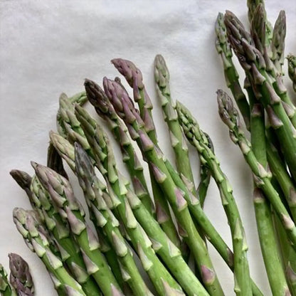 UC-157 Asparagus Seeds