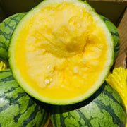 Yellow Crisp Hybrid Seedless OrangeWatermelon Seeds