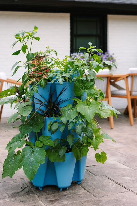 Supplies Bed - GreenStalk 3-Tier Vertical Planter