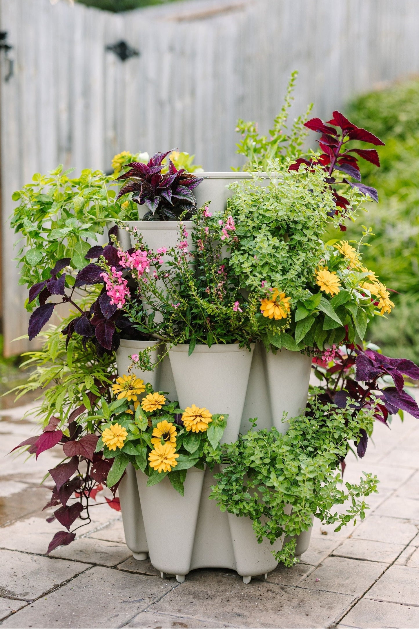 Supplies Bed - GreenStalk 3-Tier Vertical Planter