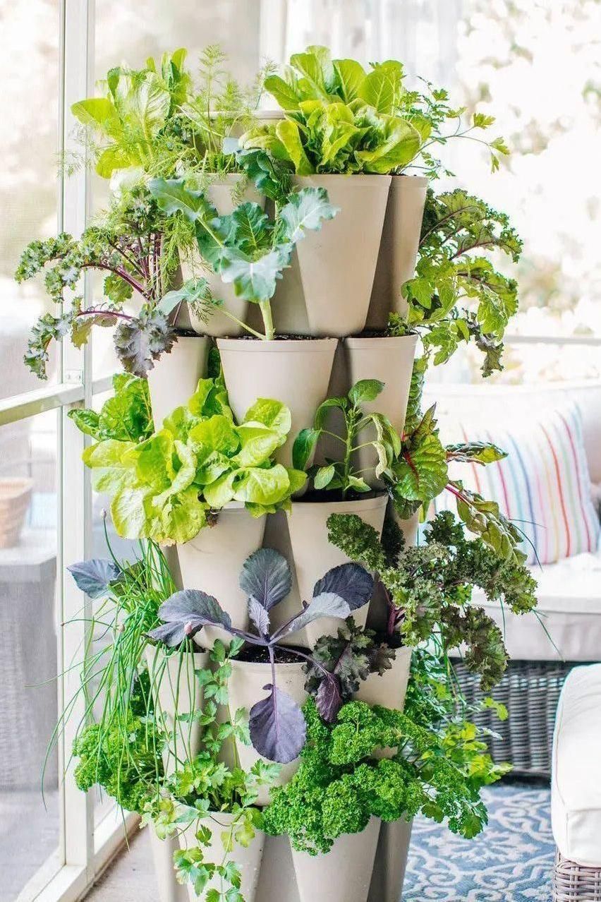 Supplies Bed - GreenStalk 5-Tier Vertical Planter